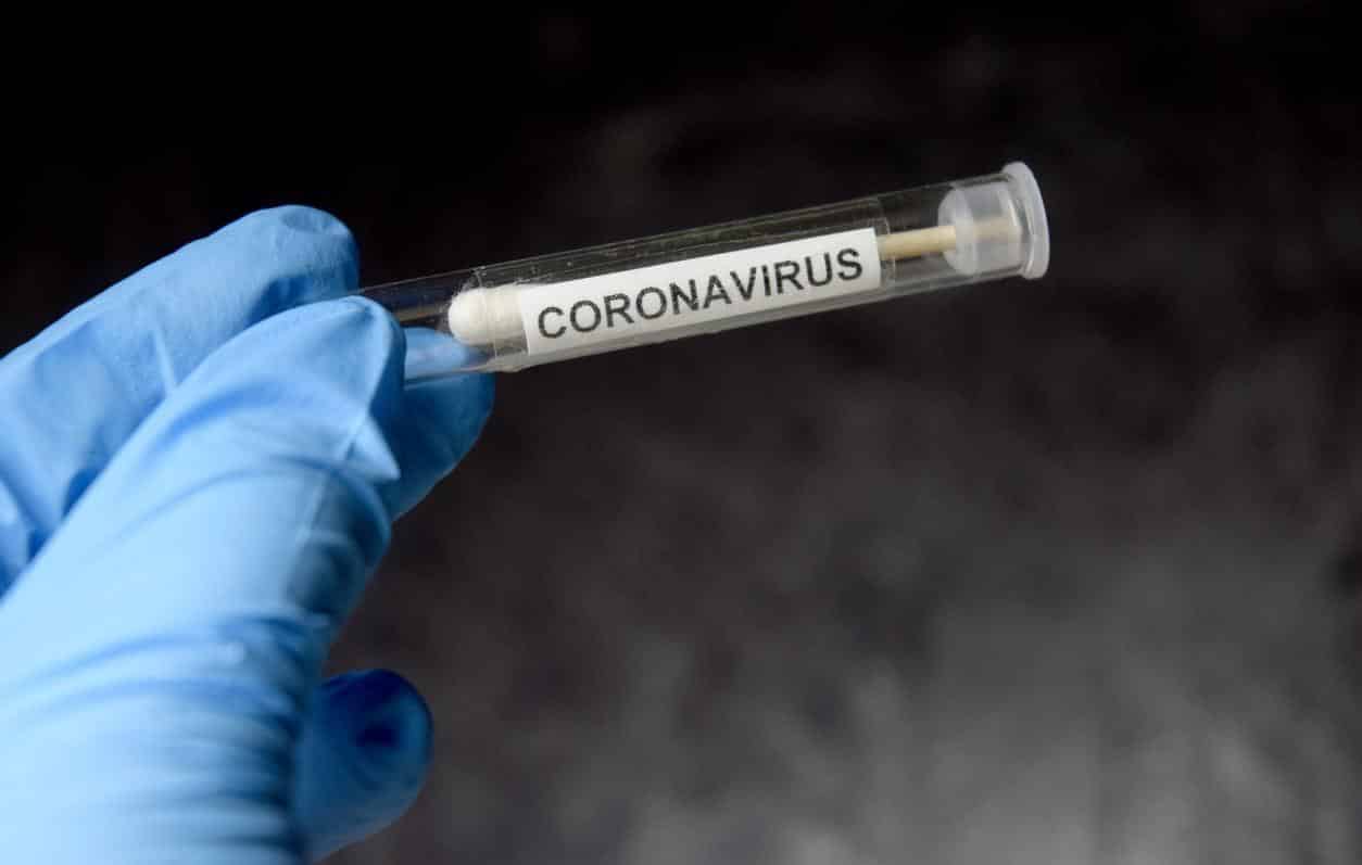 Cientistas criam teste que detecta rapidamente coronavírus pelo olfato