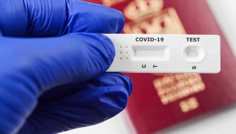 Covid-19: Aviação aposta em testes e cães farejadores para retomar voos