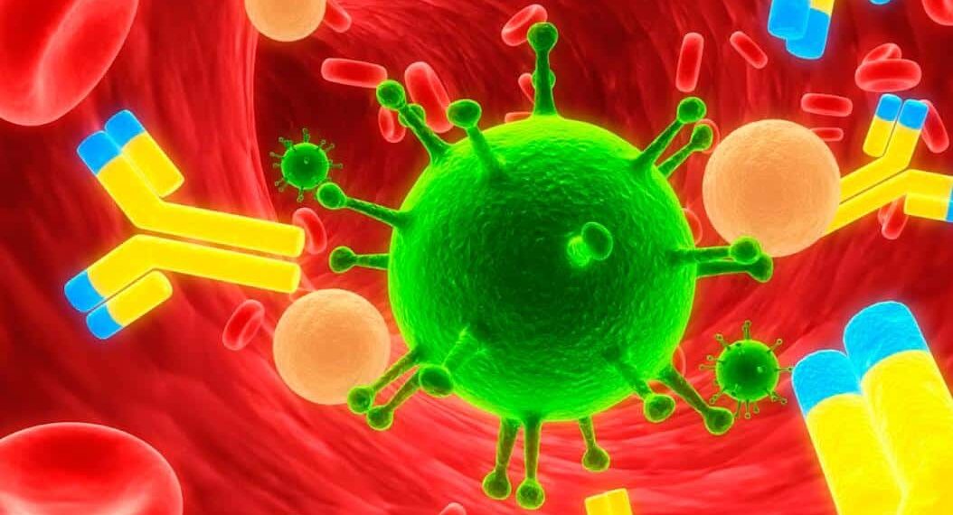 Estudo britânico reforça que anticorpos de Covid-19 podem durar só três meses
