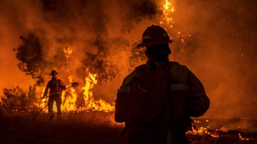 Exposição à fumaça de incêndios florestais está associada ao aumento de casos de Covid-19