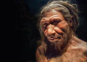 Genes neandertais podem aumentar risco de contração e complicações da Covid-19