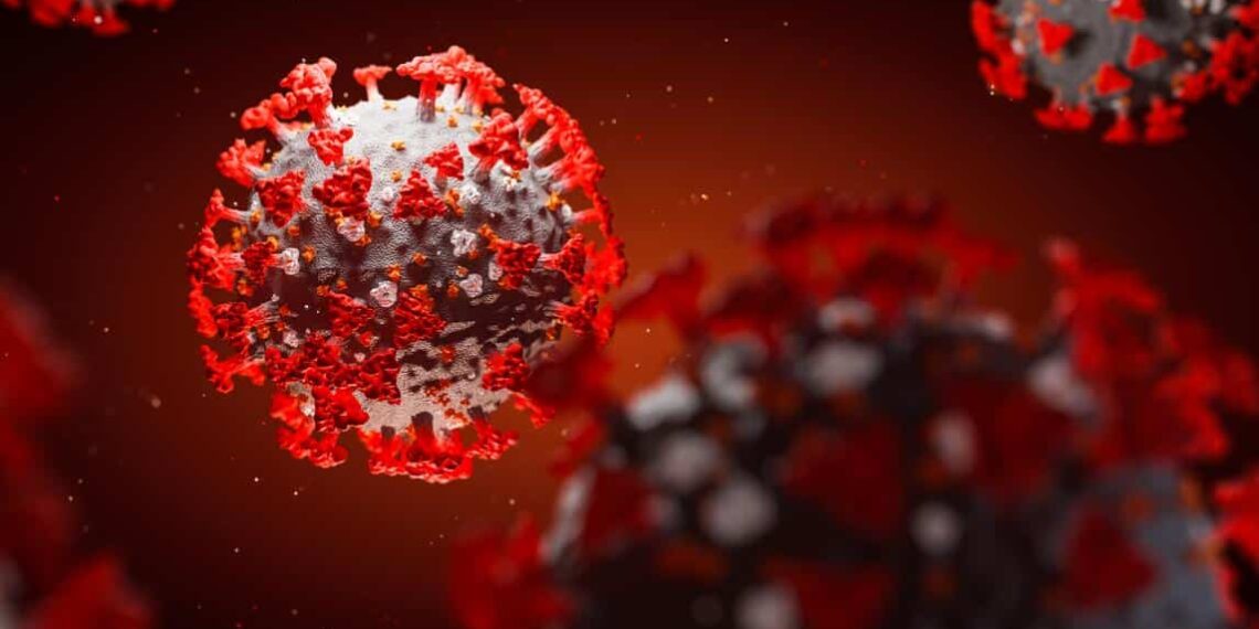 Modelo 3D mostra como o novo coronavírus se liga às células humanas